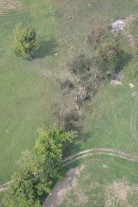 Photo 6. Area of initial tree strikes beyond airport perimeter fence