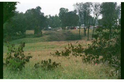 Photo 7. Area of initial impact with the ground (Courtesy: Lexington PD)