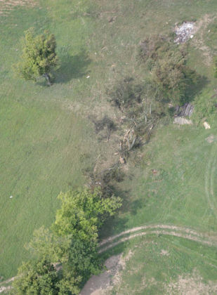 Figure 9 — Overhead of tree strikes.