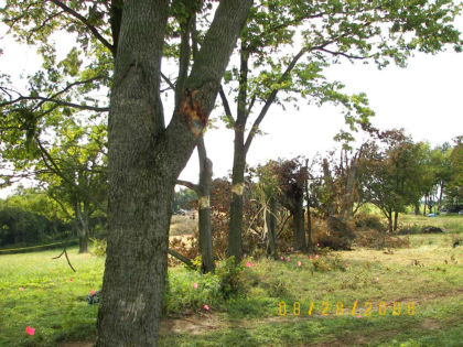 Figure 10 — Close-up of 1st, 2nd and 3rd tree strikes.