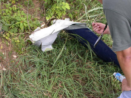 Figure 9: Left Winglet from First Tree Strike
