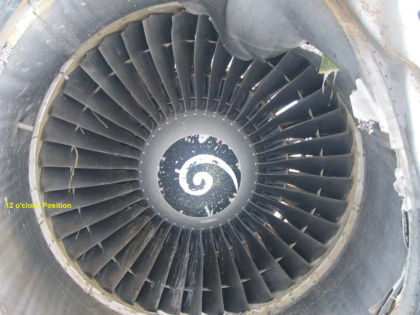 PHOTO 9: NO. 1 ENGINE FAN BLADE DAMAGE