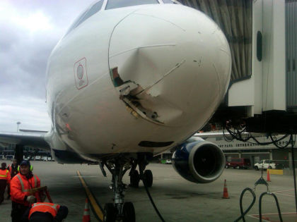 Photo 1 - Bird Impact Damage to the Radome of the Airplane