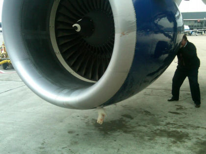 Photo 3 - Bird Impact Damage to Right Engine