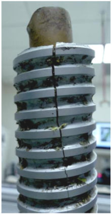 Figure 30: Longitudinal fracture