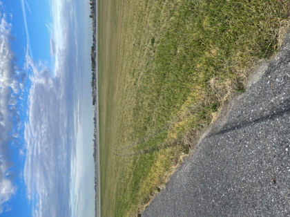 INVESTIGATIVE PHOTOGRAPHS - RUNWAY MARKS — page 18 of 18