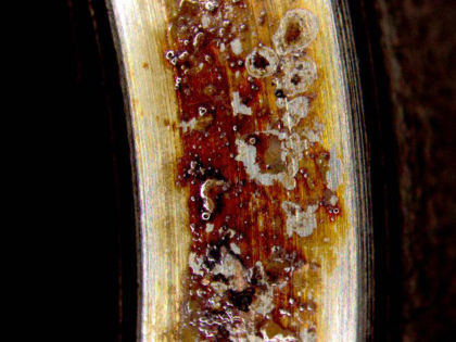 8) The inner diameter (ID) of the FMV sleeve also had the brown substance that had axial scratches. (Photo No.