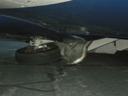 Photo 4: Left main Landing Gear, Prior to Aircraft Recovery (NTSB Digital Photo)