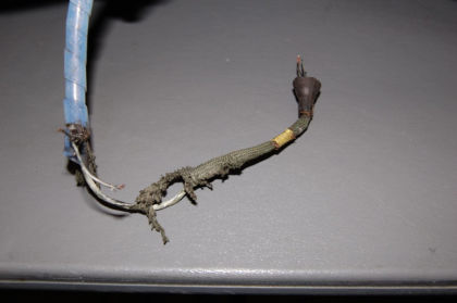 Figure 15 Area of missing shield on wire h